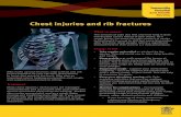 New Chest Injuries and Rib Fractures Fact Sheet · 2019. 8. 1. · Chest injuries and rib fractures Ribs make up your thoracic cage (chest) and are joined together by your sternum