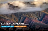 PUNA DE ATACAMA · 2020. 12. 27. · de la Sierra is the largest Oasis in this area of the Andes connecting to San Pedro de Atacama in Chile. Antofagasta means “the place where