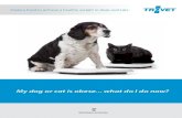 My dog or cat is obese what do I do now? - TROVET · 2020. 3. 11. · TROVET Weight & Diabetic | WRD Weight & Diabetic is formulated to help your dog or cat during the weight loss