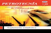 Suplemento estadístico - Petrotecnia · 2009. 3. 5. · de los Hidrocarburos en la Argentina Año L Nº 1 febrero 2009 Contenido ... • Producción de petróleo y gas natural mensual