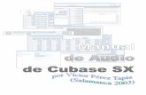 Manual de Audio de Cubase SX · 2021. 3. 12. · Manual de Audio de Cubase SX de Víctor P. Tapia Página 3 Prólogo Lo primero de todo quisiera dar las gracias a los más de 900
