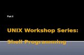 UNIX Workshop Series: Shell ProgrammingShell Basics The shell is a command interpreter.We are using the bash shell (/bin/bash). It is the insulating layer between the operating system