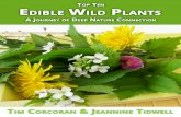 Top Ten Edible Wild Plants - Twin Eagles Wilderness School · 2014. 10. 22. · weeklong wild edibles quest, our great hope is that you connect with the essence of the wild plants,