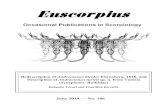 Redescription of Androctonus bicolor Ehrenberg, 1828, and ...science.marshall.edu/fet/euscorpius/p2014_186.pdf1 Centro Oriental de Ecosistemas y Biodiversidad, Museo de Historia Natural