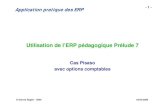 Application pratique des ERP...S1 S2 S3 S4 S5 S7 S6 S8 S9 S10 S11 S12 Application pratique des ERP -17-© Gérard Baglin - 2009 02/04/2009 Déroulement • Durant les 5 premières