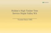 The Best Tree Care Service Maple Valley WA At Affordable Price