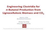 Engineering Clostridia for n-Butanol Production from ... Clostridia for n...(plus one-year no-cost extension for a total of 3 years). • The project had four specific objectives or