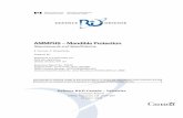 AMMPHS – Mandible Protection · AMMPHS – Mandible Protection Requirements and Specifications E. Fournier, N. Shewchenko Prepared By: Biokinetics and Associates Ltd. 2470 Don Reid
