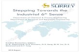 Stepping Towards the Industrial 6 Senseindustry-sixth-sense.eps.surrey.ac.uk/Project_Intro_and_Deliverables.pdfGupta, A., 2018, CEP 114, 22-29 Stanković et al, 2008, Proc 47 IEEE