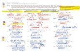 Organic Chemistry I Test 1 Isomers/Resonance Recognition Practice.web.mnstate.edu/jasperse/Chem350/Test-1-Isomers-Answers.pdf · 2020. 1. 7. · Organic Chemistry I Test 1 Isomers/Resonance