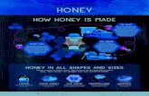 THE HONEY FILES: Honey...how sweet it is ACTIVITY: The first story of honey is 8,000 years old! An ancient cave painting in Spain shows honey harvesting. And it’s been used for food,