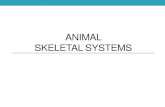 Small Animal Skeletal Systems - Verona Agriculture · 2019. 12. 6. · Functions of the Skeletal System ... DIFFERENT LARGE ANIMALS!! Cattle . Horse . Pelvis Femur Patella Fibula