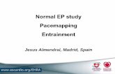 Normal EP study - Pacemapping entrainment - Almendralassets.escardio.org/.../Almendral-Normal-EP.pdfTitle Normal EP study - Pacemapping entrainment - Almendral Author European Society