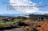 LAMA SEMESTER 2020 2020... · 2020. 2. 24. · LAMA EXCHANGE SEMESTER at Universidad de los Andes March – July 2020 -Santiago, Chile HOST UNIVERSITY: UNIVERSIDAD DE LOS ANDES, SANTIAGO,
