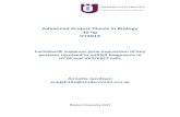 Advanced(Project(Thesis(in(Biology( 30hp( VT2013(675844/FULLTEXT01.pdf · 2013. 12. 4. · Advanced(Project(Thesis(in(Biology(30hp(VT2013(! ((((Lactobacilli(suppressgeneexpressionofkey(proteinsinvolvedinmiRNA(biogenesisin