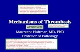 Mechanisms of Thrombosis - Duke University · 2021. 4. 22. · Mechanisms of Thrombosis Maureane Hoffman, MD, PhD Professor of Pathology . Blood clotting where it shouldn't or when