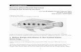 ERSS - Karomo (Oreochromis karomo) - FWS · “The study was conducted at Mindu Dam (Fig. 1 [in source material]) found in Morogoro region, 60 51' South, 310 41' East and 530 m ASL.