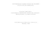 UNIVERSIDAD COMPLUTENSE DE MADRID FACULTAD DE … · 2019. 1. 11. · UNIVERSIDAD COMPLUTENSE DE MADRID FACULTAD DE MEDICINA Autor: Zaki Mohamed—Mohamed Abdallah Título: Litiasis