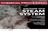 Scrutinize Your Steam System...The Terry Bundy plant has three GE LM6000 combustion turbines, two of which are equipped with heat recovery steam genera-tors (HRSGs) that drive a supplemental