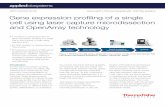 Thermo Fisher Scientific - US - Gene Expression Single Cell OpenArray App Notetools.thermofisher.com/content/sfs/brochures/gene... · 2016. 11. 3. · In this application note, we