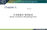 Chapter 5.contents.kocw.net/KOCW/document/2014/Yeungnam/... · 2016. 9. 9. · 5 난생(Oviparity)과 태생(Viviparity) (1)난생(oviparous) - 알을 낳는 동물 - 난(eggs)은