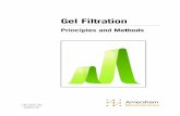 Gel Filtration - Harvard University18-1022-18 Edition AI Gel Filtration Handbook – Principles and Methods  Production: RAK Design AB …