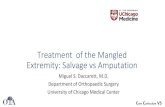 Treatment of the Mangled Extremity: Salvage vs Amputation B6 Principles in Manageme… · Strategies Trauma Limb Reconstr. 2012 Aug;7(2):57- 66. • Schirò GR, Sessa S, Piccioli