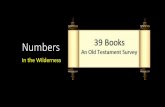 Numbers - WordPress.com · 2008. 1. 4. · Numbers Conclusions Numbers shows the challenges of living a life of faith in difficult circumstances. Its themes include trusting God for