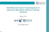 Stability and rate of convergence of resource allocation within a … · 2017. 11. 23. · Stability and rate of convergence of resource allocation within a cellular network Aaron