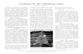 Corkbark Fir for Christmas Trees · 2010. 9. 7. · Corkbark Fir for Christmas Trees /e In 1952, a small planting of corkbark fir (Abies lasiocarpa var. arizonica) was made in western