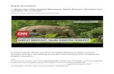 Gajah Sumateraindolessons.com/lessons/pdfs/gajahSumatera02.pdf · 2020. 9. 15. · Awal 2018, perkebunan ini dinyatakan melanggar5 perijinan6 oleh Mahkamah Agung dan dikembalikan