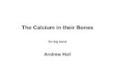 The Calcium in their Bones - Brunel University London...Cl. Alto 2 Tenor 1 Tenor 2 Bari. Sax. Tpt. 1 Tpt. 2 Tpt. 3 Tpt. 4 Tbn. 1 Tbn. 2 Tbn. 3 B. Tbn. J. Gtr. Pno. Bs. Dr. f n ff p