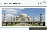 UTTAR PRADESH - IBEF · 2021. 5. 13. · in Uttar Pradesh stood at US$ 942 million between April 2000 and March 2020. Inebruary 2020 F , state organised Defence Expo-2020 and received