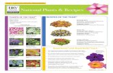 National Plants & Recipes - Proven Winnersapi.provenwinners.com/.../catalogs_pdfs/...final.pdf2021 CERTIFICATION PROGRAM ‘Spot On’ Pulmonaria Summerific® ‘French Vanilla’