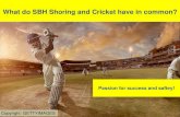 What do SBH Shoring and Cricket have in common? · 2021. 1. 7. · SBH is an investment at the beginning – over time the project economics beat all conventional methods of shoring