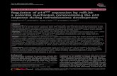 Regulation of p14ARF expression by miR-24: a potential … · 2017. 8. 27. · RESEARCH ARTICLE Open Access Regulation of p14ARF expression by miR-24: a potential mechanism compromising