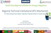 Regional Technical Institutional (RTI) Mechanism · 2021. 3. 25. · Confidential©2021 Presented by Mr. Rajiv Ratna Panda Associate Director, SARI/EI IRADe Webinar on Importance