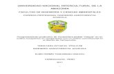 UNIVERSIDAD NACIONAL INTERCULTURAL DE LA AMAZONÍArepositorio.unia.edu.pe/bitstream/unia/181/1/TESIS 10 DE... · 2019. 7. 25. · UNIVERSIDAD NACIONAL INTERCULTURAL DE LA AMAZONÍA