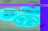 Eastern Tomato - Syngenta US · 2020. 2. 16. · GLOBAL REACH, LOCAL FOCUS At Syngenta Vegetable Seeds, ... Our rich history in the vegetable seeds industry, strong presence in the