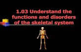 1.03 Understand the functions and disorders of the skeletal …cmacijewski.weebly.com/uploads/3/1/1/3/31132743/1.03... · 2019. 11. 19. · Functions of the Skeletal System Skeletal