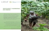 NATURAL FARMING IN INDIANATURAL FARMING IN INDIA. N. Natural farming’slinkages to FAO’s agroecological elements. A brief context in India. Natural farming: acreage, geographies,
