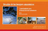 Desafíos de los bosques amazónicos - Kyoto U2 | Desafíos de los bosques amazónicos y oportunidades para el manejo forestal comunitario Capitulo 1 Los bosques amazónicos en la