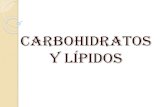 CARBOHIDRATOS Y LÍPIDOS · 2014. 5. 5. · CARBOHIDRATOS Sinónimos: azucares, glúcidos, hidrato de carbono, sacáridos. Definición: moléculas formadas por carbono, hidrogeno