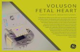 VOLUSON FETAL HEART...The Voluson E10 provides a full suite of cardiac technologies for the fetal heart expert. With exceptional 2D, robust color, tissue & pulsed wave Doppler, advanced