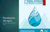 Privatización del agua - Rights Of Nature Tribunal · 2021. 3. 22. · Abordajes interculturales, descolonizadores: reivindicación de la diversidad de la naturaleza (Biodiversidad;