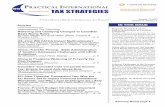 PRACTICAL INTERNATIONAL/media/Files/Videncenter... · 2013. 2. 27. · tax planning, public and private mergers and acquisitions, corporate reorganizations, private equity investment,