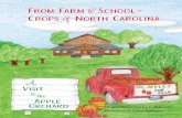 From Farm ˜˚to School Crops of o North Carolina...6 Apples are primarily grown in western North Carolina, but can be grown across the state. Farmers choose what kind of apples to