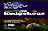Wild about gardens get creative for hedgehogs...Wild About Gard ns héd£hogs Small steps everyone can take together to help save the hedgehog