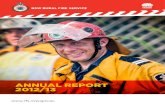 ANNUAL REPORT 2012/13 - NSW RFS · 2014. 7. 16. · NSW RURAL FIRE SERVICE 58 NSW RURAL FIRE SERVICE – ANNUAL REPORT 2012/13 Statement of financial position as at 30 June 2013 Notes
