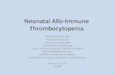 Neonatal Allo-Immune Thrombocytopenia - SEABB · 2017. 4. 2. · Neonatal Allo-Immune Thrombocytopenia Margo R Rollins, MD Assistant Professor . ... any maternal antibodies that might